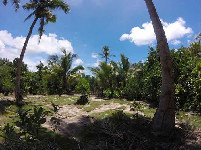 Vacant Lot Suitable for Resort for Sale in Siargao Island